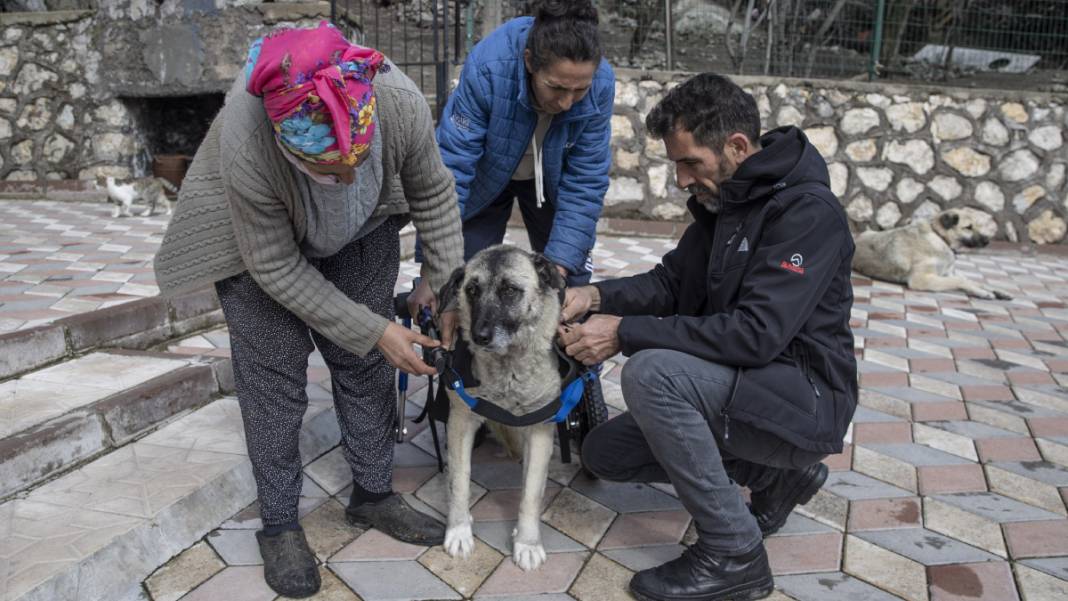 'Gümüş' hayata adım attı 3